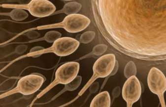 Dra Ionara Barcelos Da Vinci Reprodução Humana - Foto 1