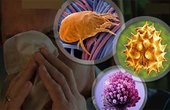 Mini Hospital Dr Jorge Nunes - Foto 1