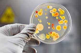 Dra Fátima e Dr Sérgio Campagnolo - Foto 1