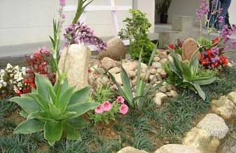 Flora Verde - Foto 1