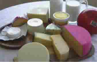 Laticínios do Campo - Foto 1