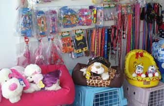 Patas de Ouro Pet Shop - Foto 1