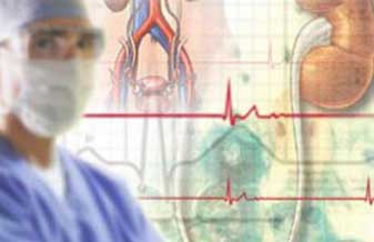 Clinica Plena - Foto 1