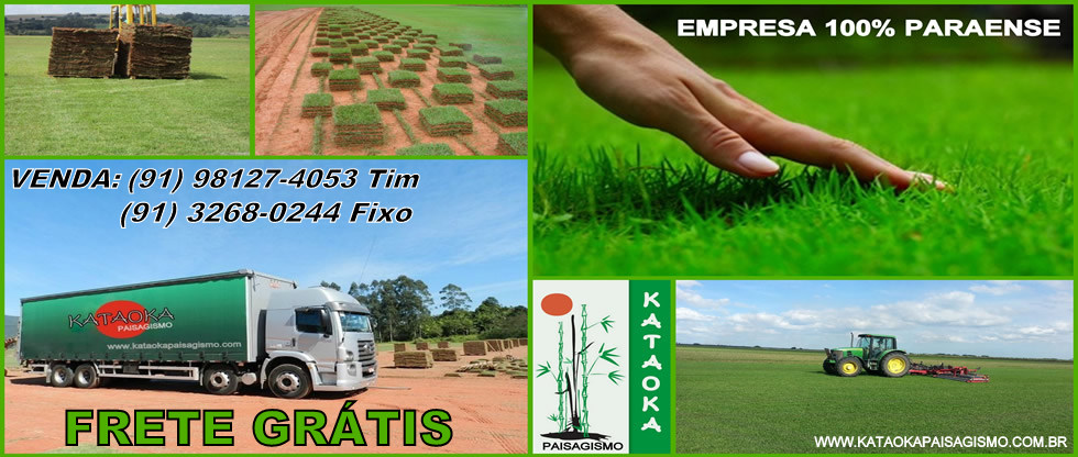 Grama Esmeralda - Foto 3