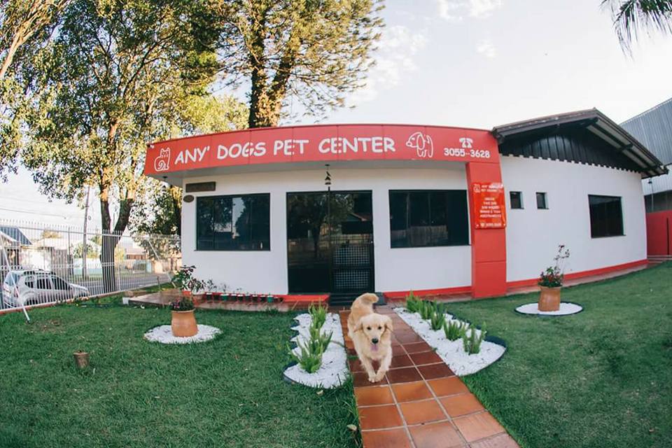 Any Dogs Pet Center - Foto 1