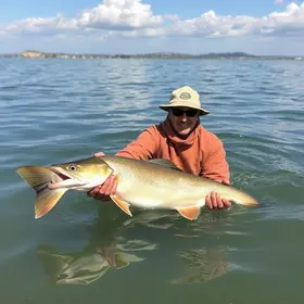desaparecimento de moradores de Toledo