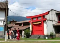 presença japonesa no Paraná