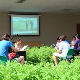 Junho Verde