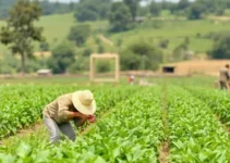 Desafios na Agricultura