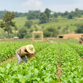 Desafios na Agricultura