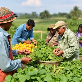 Food Capacita Agro