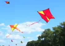 festival de pipa