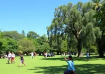 RecreAção